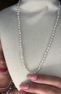 Freshwater Oval Seed Pearl Necklace